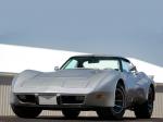 Chevrolet Corvette GT by Greenwood 1976 года